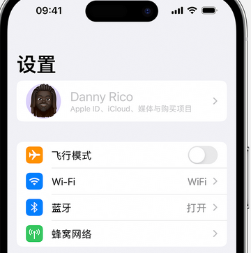 东阁镇appleID维修服务iPhone设置中Apple ID显示为灰色无法使用