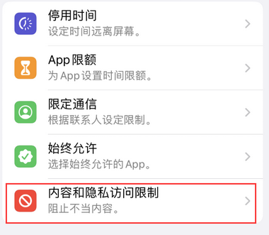 东阁镇appleID维修服务iPhone设置中Apple ID显示为灰色无法使用