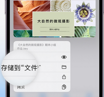 东阁镇apple维修中心分享iPhone文件应用中存储和找到下载文件