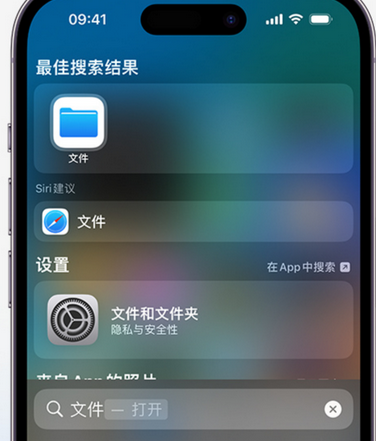 东阁镇apple维修中心分享iPhone文件应用中存储和找到下载文件 