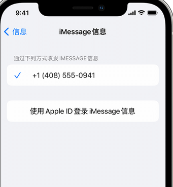 东阁镇apple维修iPhone上无法正常发送iMessage信息 