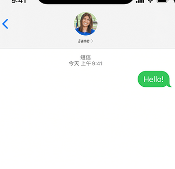 东阁镇apple维修iPhone上无法正常发送iMessage信息