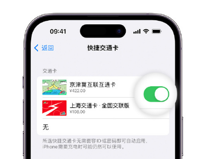 东阁镇apple维修点分享iPhone上更换Apple Pay快捷交通卡手绘卡面 