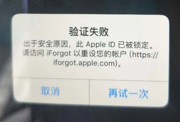 东阁镇iPhone维修分享iPhone上正常登录或使用AppleID怎么办 