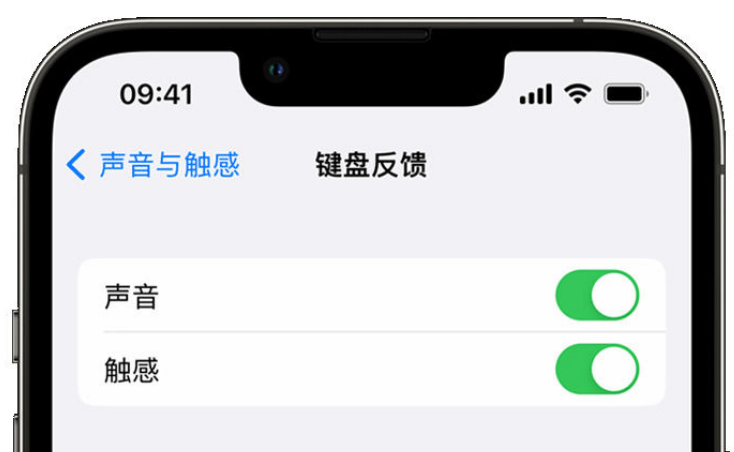 东阁镇苹果手机维修分享iPhone 14触感键盘使用方法 