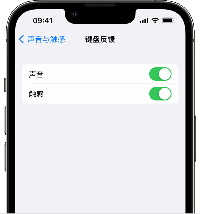 东阁镇苹果14维修店分享如何在 iPhone 14 机型中使用触感键盘 