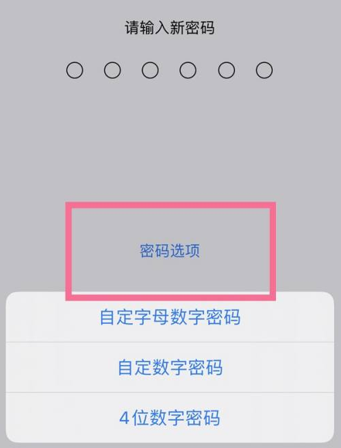 东阁镇苹果14维修分享iPhone 14plus设置密码的方法 