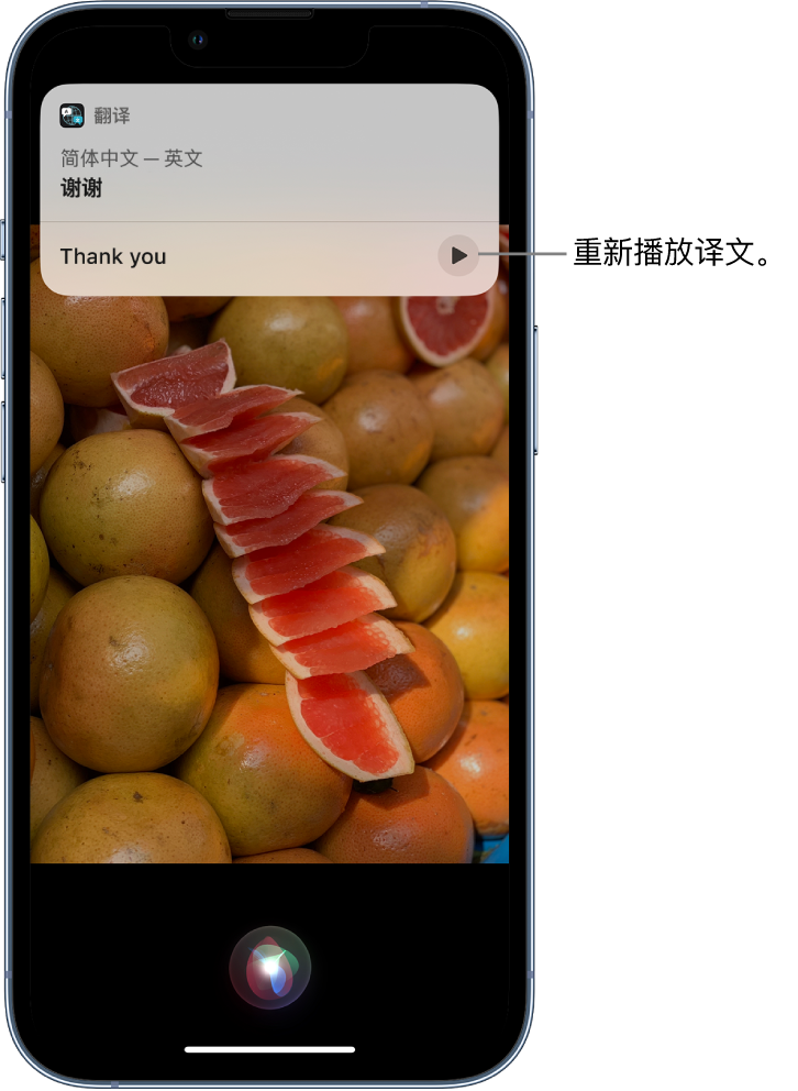 东阁镇苹果14维修分享 iPhone 14 机型中使用 Siri：了解 Siri 能帮你做什么 