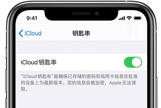 东阁镇苹果手机维修分享在 iPhone 上开启 iCloud 钥匙串之后会储存哪些信息 