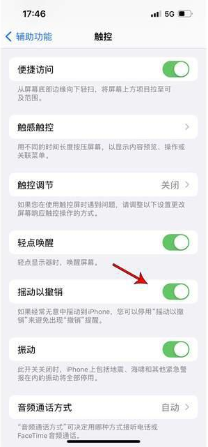 东阁镇苹果手机维修分享iPhone手机如何设置摇一摇删除文字 