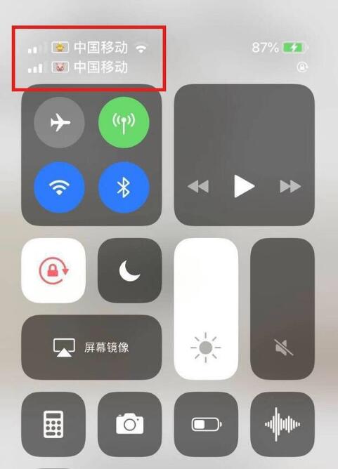 东阁镇苹果手机维修分享为 iPhone 12 双卡设置标签 