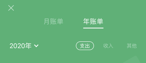 东阁镇苹果手机维修分享如何在 iPhone 上查看支付宝和微信年支出账单 
