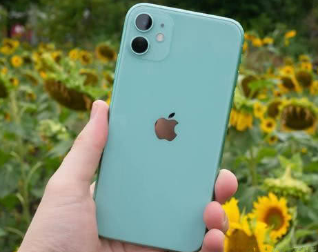 东阁镇苹果维修点分享iPhone 11锁屏密码认知与使用科普 