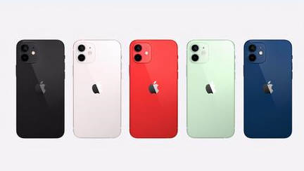 东阁镇苹果维修点分享iPhone 12锁屏密码系统机制科普 