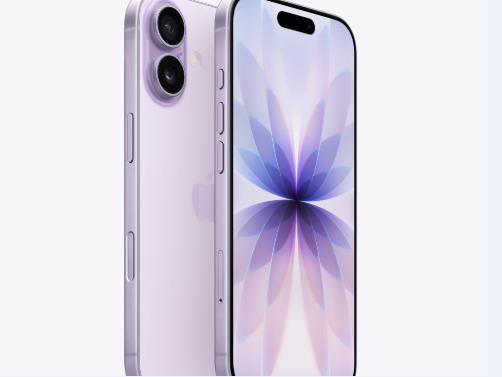 东阁镇苹果维修点分享iPhone 17锁屏密码使用参考 