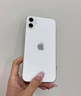 东阁镇苹果维修点分享iPhone 11黑屏特殊场景解析 